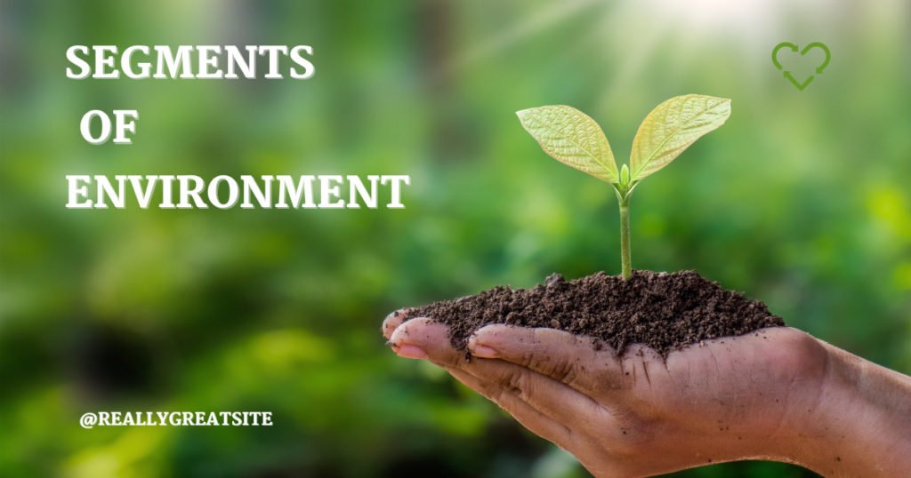 Segments of environment
