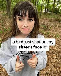 a-bird-just-shat-on-my-sisters-face